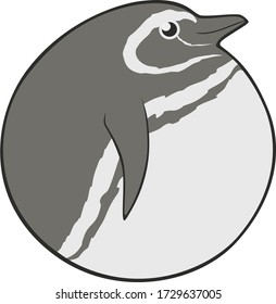 Bird ball: Magellanic Penguin.  A cute South American penguin shaped like a circle.