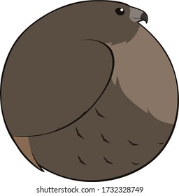 Bird Ball: Red-tailed Hawk, Dark Color Morph. A round cartoon side view of one of the three color variations of this bird of prey.  