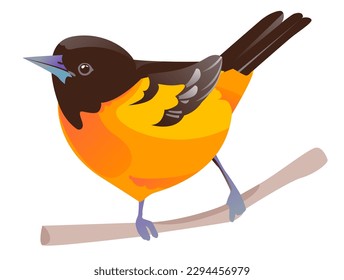 Bird Baltimore Oriole Vektorgrafik einzeln auf weißem Hintergrund. Ein Vogel auf einem Ast.