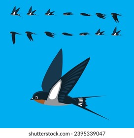 Bird Barn Swallow Flying Animation Straight Sequence Cartoon Vector