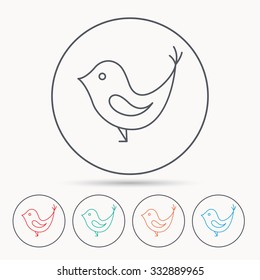Bird with beak icon. Cute small fowl symbol. Social media concept sign. Linear circle icons.