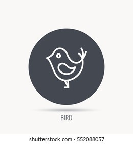 Bird with beak icon. Cute small fowl symbol. Social media concept sign. Round web button with flat icon. Vector