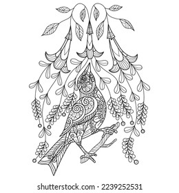 Bird and beautiful flowers hand drawn for adult coloring book