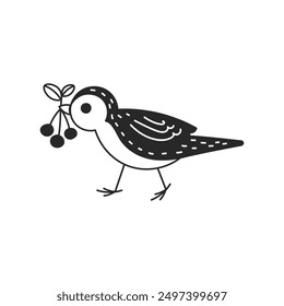 Bird with Berries Doodle Illustration. Cute songbird holding food in beak. Autumn Fall graphic. Isolated vector art in sketch style