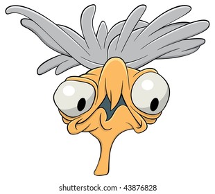 Bird with big eyes