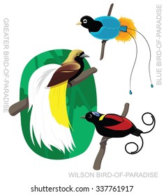 Bird Bird-of-Paradise Set Cartoon Vector Illustration