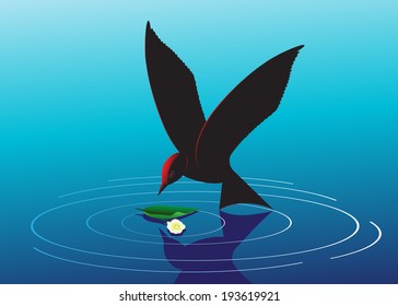  Bird of black color about water and a flower with a leaf.