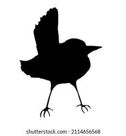Ave. Ilustración negra con la imagen de un pájaro, abstracción, vector.
