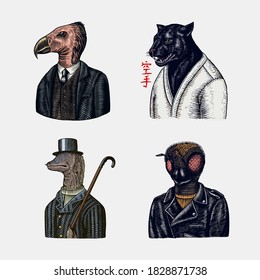 Bird and Black panther and Bee biker. Japanese text means: karate. Fashion animal character. Hand drawn sketch.