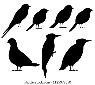 Bird black silhouette collection. Pigeon, Sparrow, Titmouse, Swallow, Woodpecker, Starling, Bullfinch. Flat birds icon. Vector illustration isolated on white background.