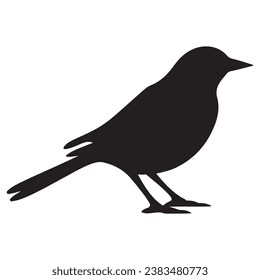 A Bird black Silhouette vactor.
