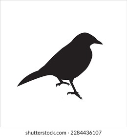 a bird black silhouette. Vector illustration