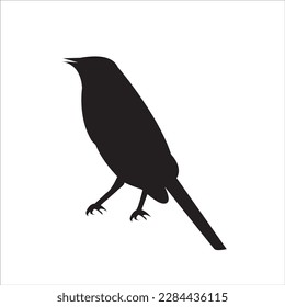 a bird black silhouette. Vector illustration