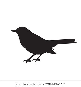 una silueta negra de pájaro. Ilustración del vector