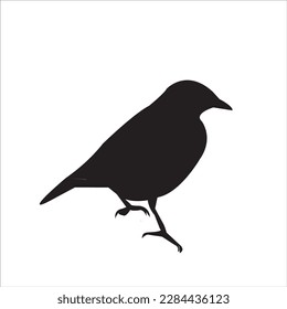 a bird black silhouette. Vector illustration