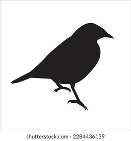 a bird black silhouette. Vector illustration