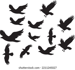 bird black vector design bird