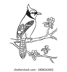 Bird black and white line art