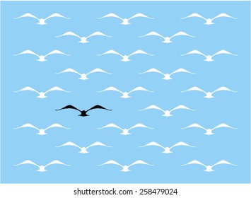 bird black and white on blue background 