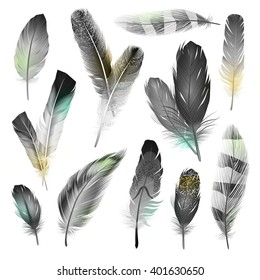 Bird black and white realistic feathers set  isolated vector illustration 