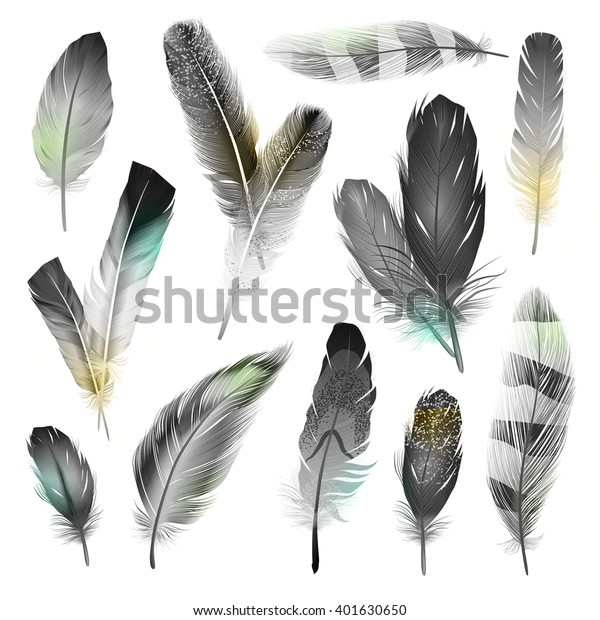 白黒のリアルな鳥の羽セット 分離型ベクターイラスト のベクター画像素材 ロイヤリティフリー