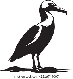  Bird Black And White, Vector Template Set for Cutting and Printing