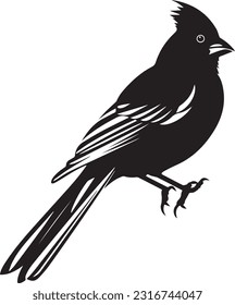 Bird Black And White, Vector Template Set for Cutting and Printing