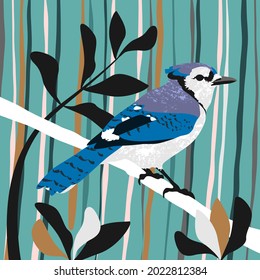 Bird blue jay on a branch