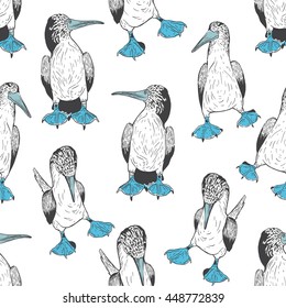 bird blue leg pattern