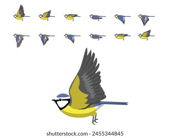 Vector de dibujos animados de la secuencia de animación voladora de la teta azul pájaro
