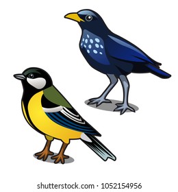 Bird blue tit and jackdaw isolated on white background. Vector cartoon close-up illustration.