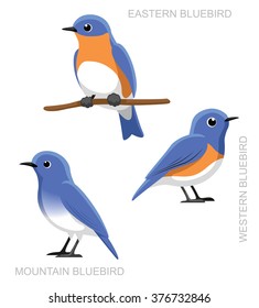 Bird Bluebird Set Cartoon Vector Illustration