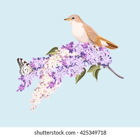 Bird and branch of lilac