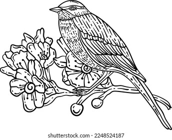 Frühlingsseite der Vogelzweige für Erwachsene