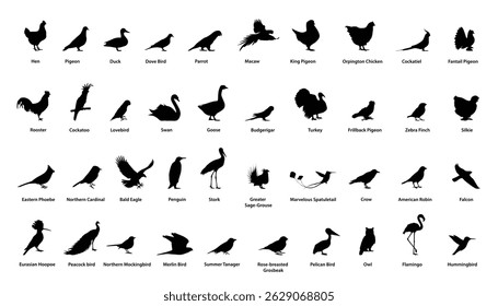 Bird Breeds silhouette. Bird species silhouettes vector set.