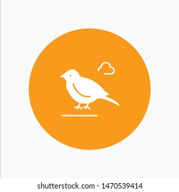 Bird, British, Small, Sparrow. Vector Icon Template background