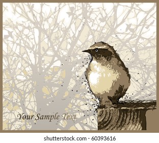 bird with brown feathers on the background of a tree with bushy branches