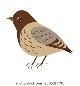 A bird with a brown head and gray body. The bird is standing on a white background. The bird has a curious expression on its face