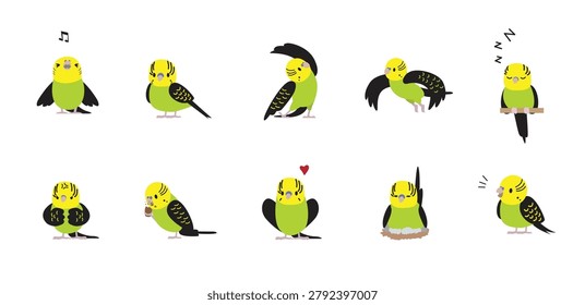 Bird Budgerigar Parrot Chibi Cartoon Naive Various Poses