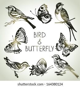 Bird and butterfly set, hand drawn illustrations 