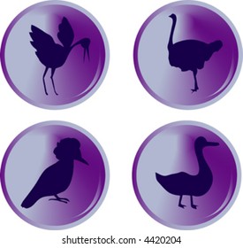 bird buttons