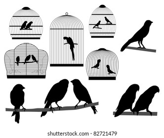 Bird in a cage