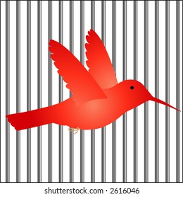 bird in cage / bars vector