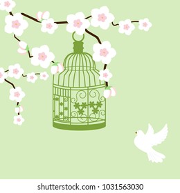 Bird cage and cherry branch on a green background. Template for postcard decor. album. Vector illustration.