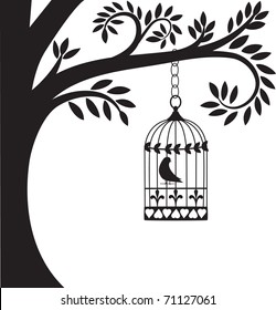 bird cage hanging from branch