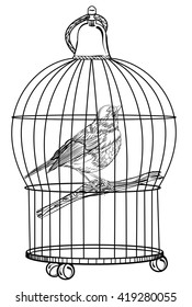 Bird In The Cage. Vector Illustration Isolated On White Background. Detailed Drawing Of A Bird