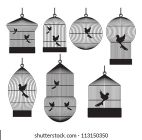 Royalty Free Cage Oiseau Stock Images Photos Vectors