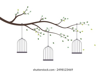 Bird cages on tree branch