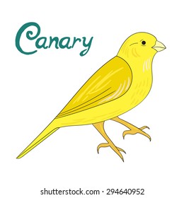 Bird canary vector illustration