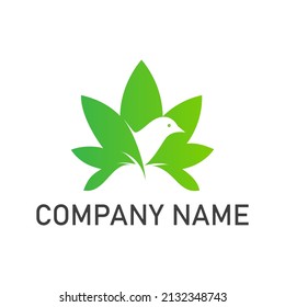 Bird cannabis leaf plant logo design